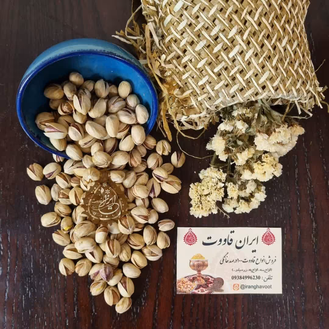 پسته فندقی خندان دستچین تازه امسال اعلا 500 گرمی
