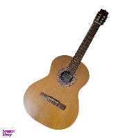 گیتار کلاسیک پارسی مدل P80