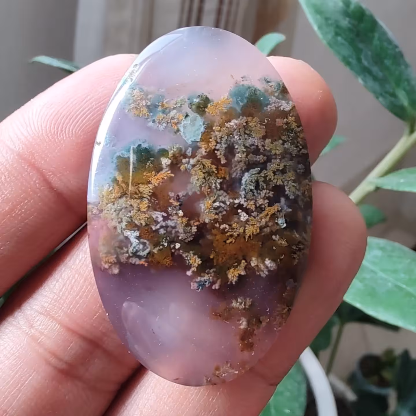 عقیق شجر هفت رنگ کلکسیونی 