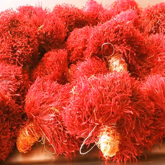 زعفران دسته