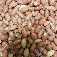 بادام زمینی درشت ممتاز آستانه (250گرمی)