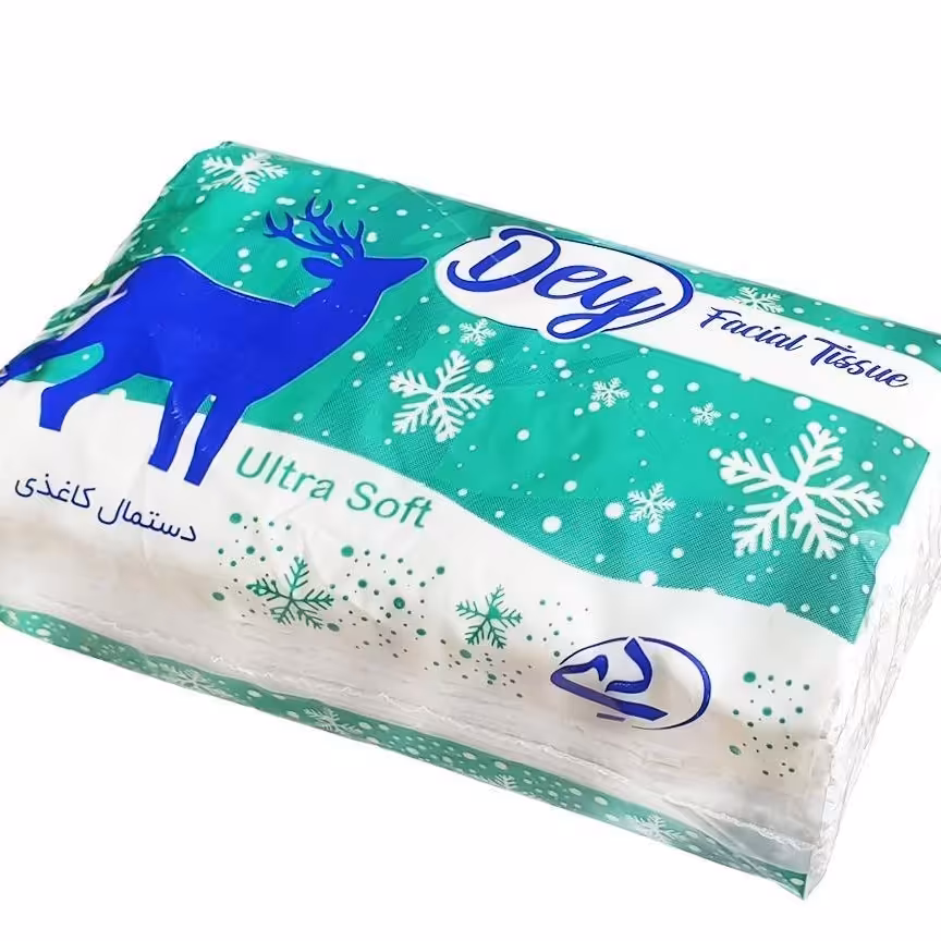 دستمال کاغذی دی بسته ده عددی