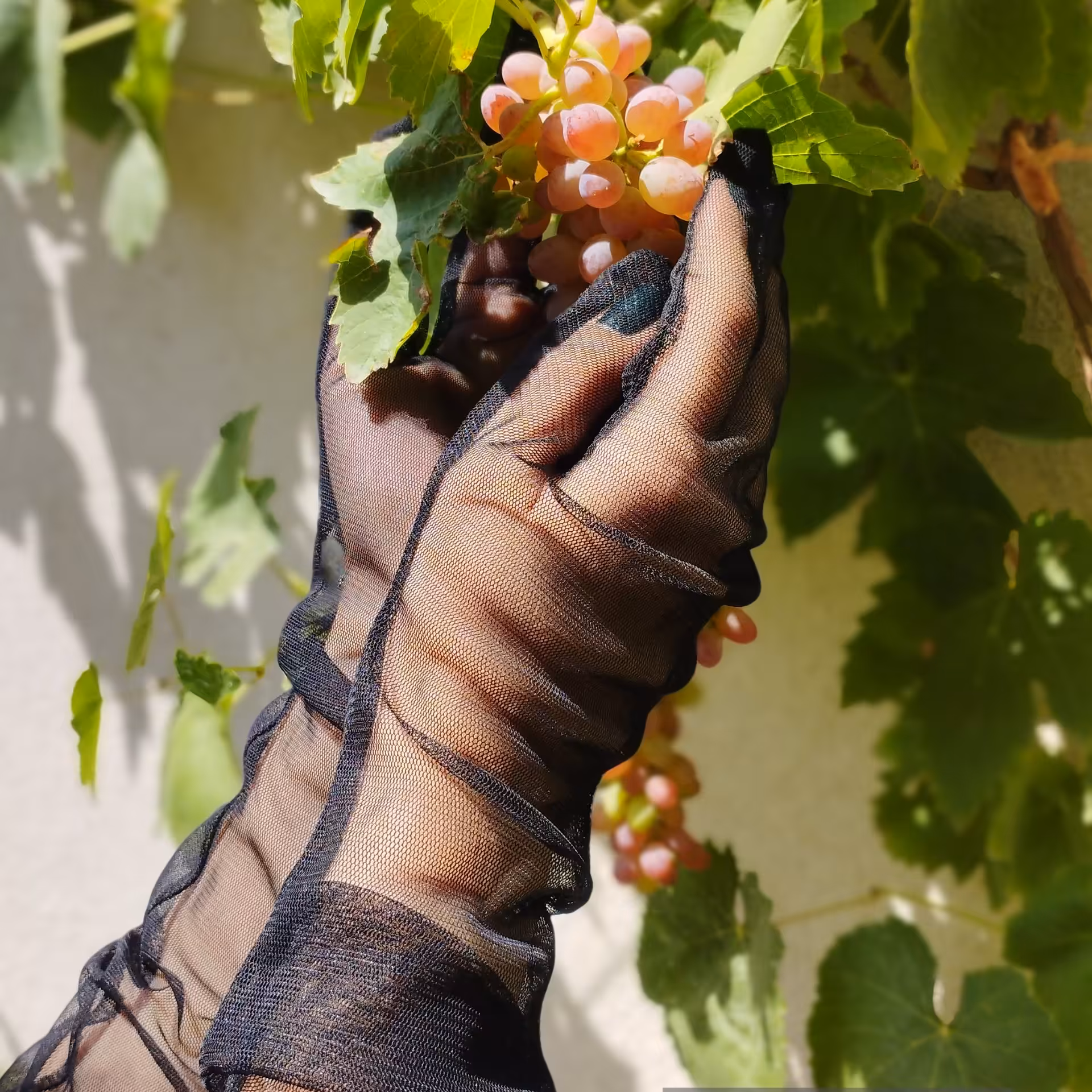 دستکش توری ساده و خالدار مشکی بلند تا آرنج 