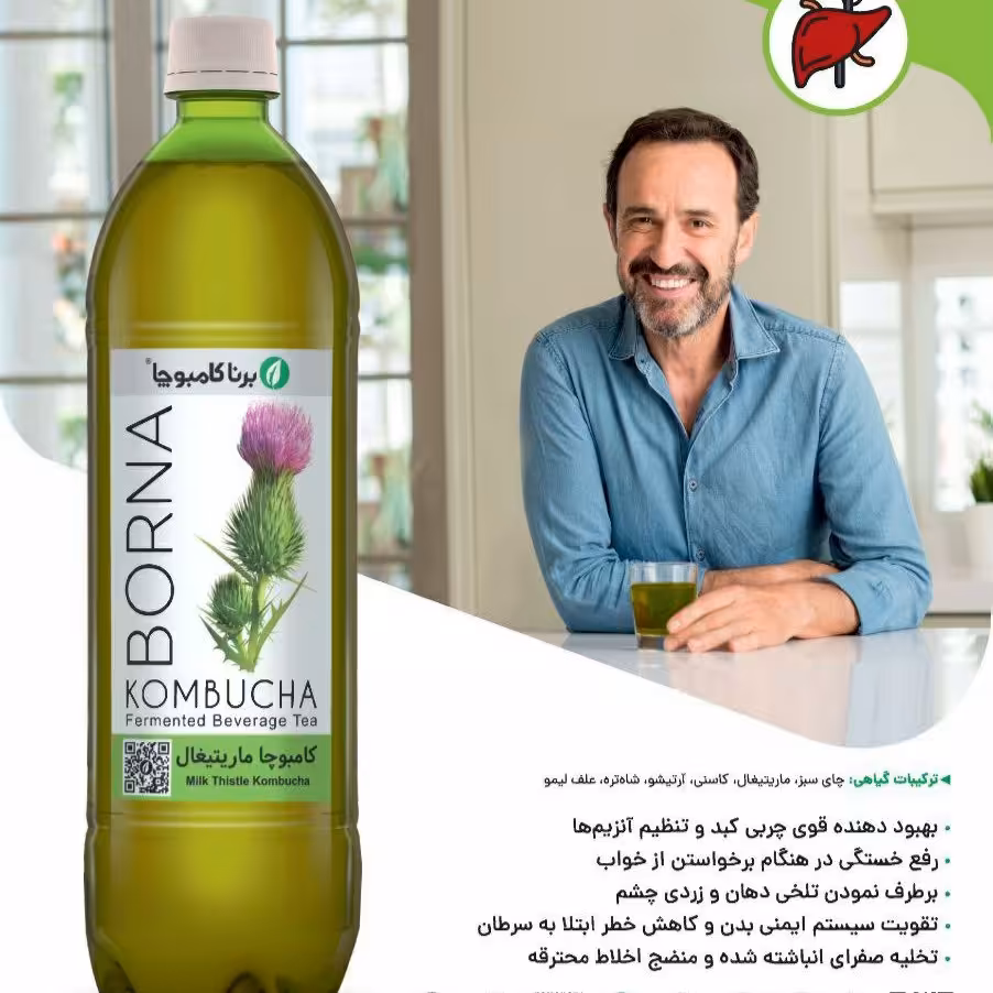 کامبوچا ماریتیغال (بهبود کبد چرب) 