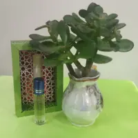 عطر  طبیعی نعنا برکات(4گرمی)
