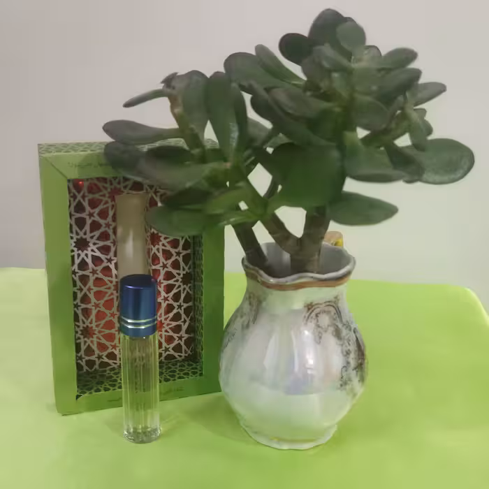 عطر  طبیعی نعنا برکات(4گرمی)