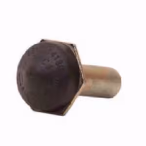 بوش ستاره ای (20014)