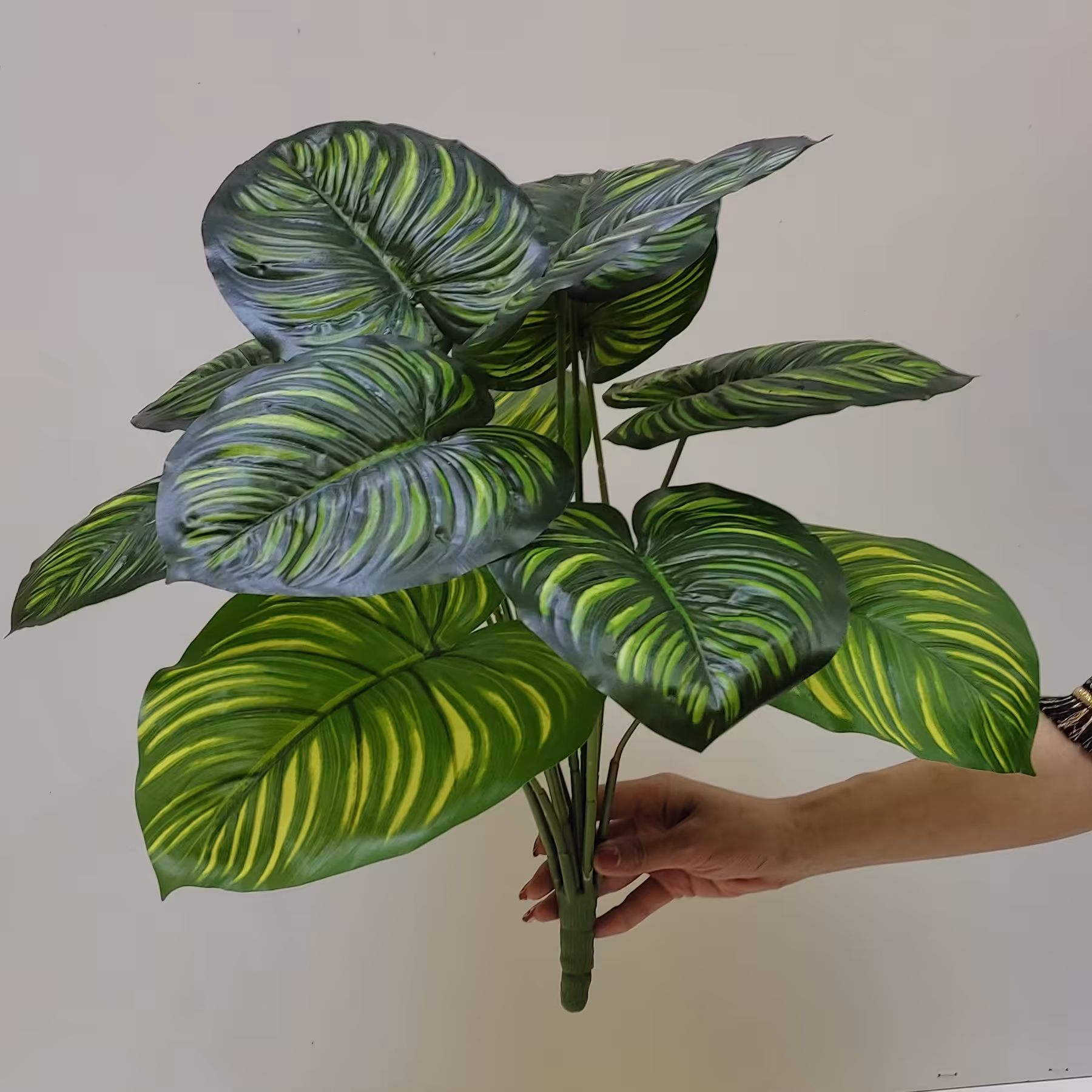 درختچه دیفن باخیا مصنوعی