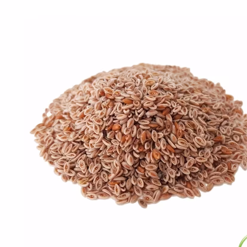 اسفرزه اعلا 500گرم