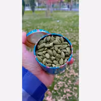 هل اکبر بنفش خاتم پنجاه گرمی