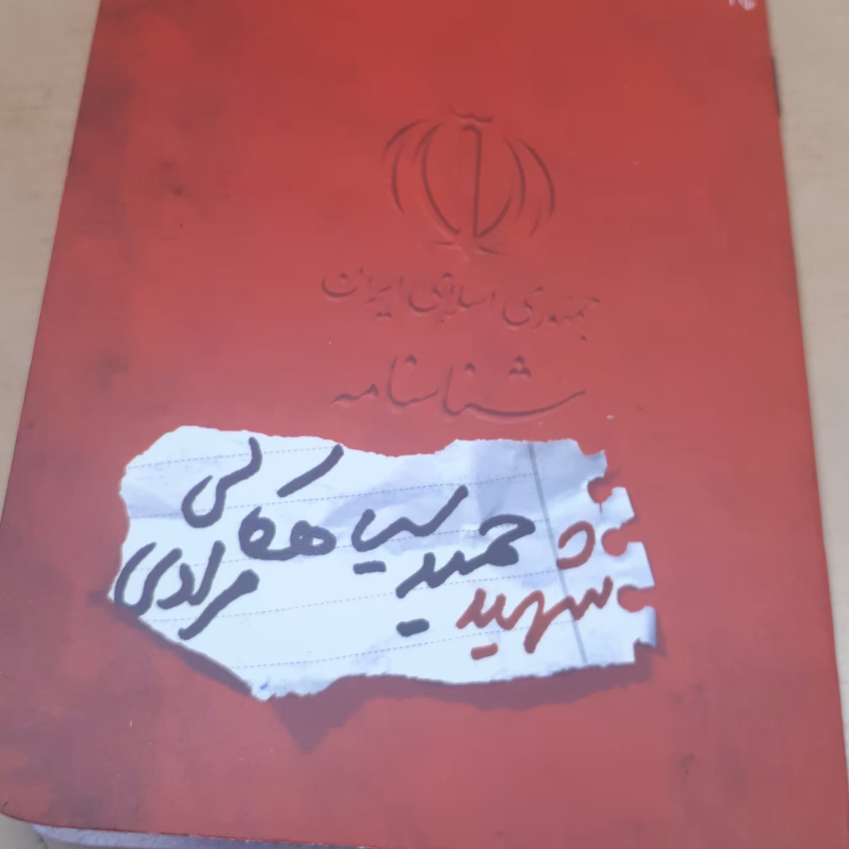 شناسنامه شهدا جلد3