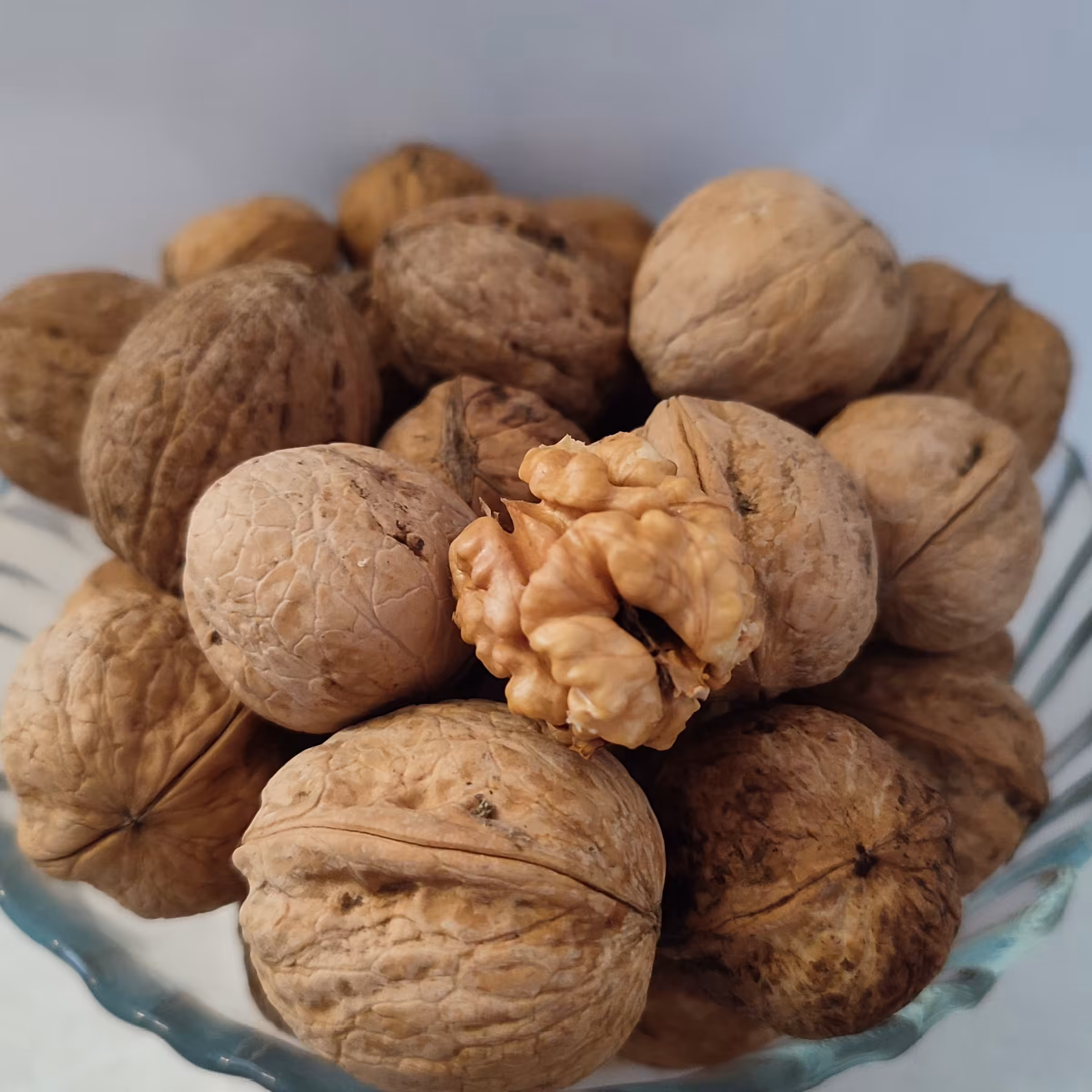 گردوکاغذی  پرچرب ایرانی (پس کرایه)