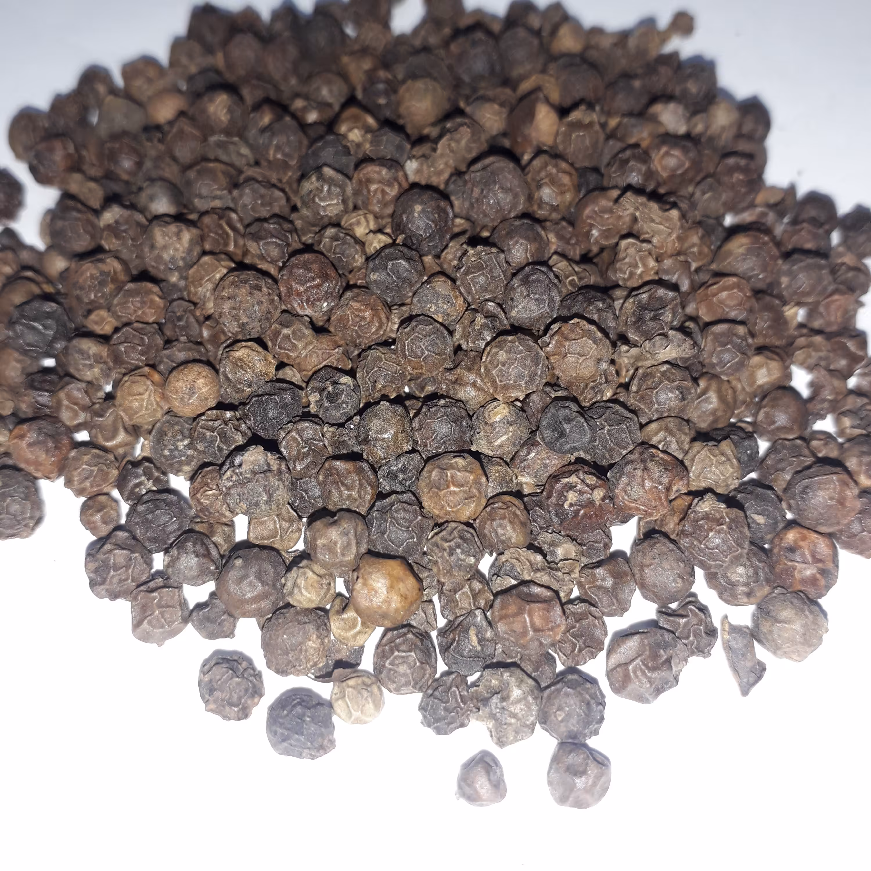 دان فلفل سیاه ریز ربسته بندی250 گرمی