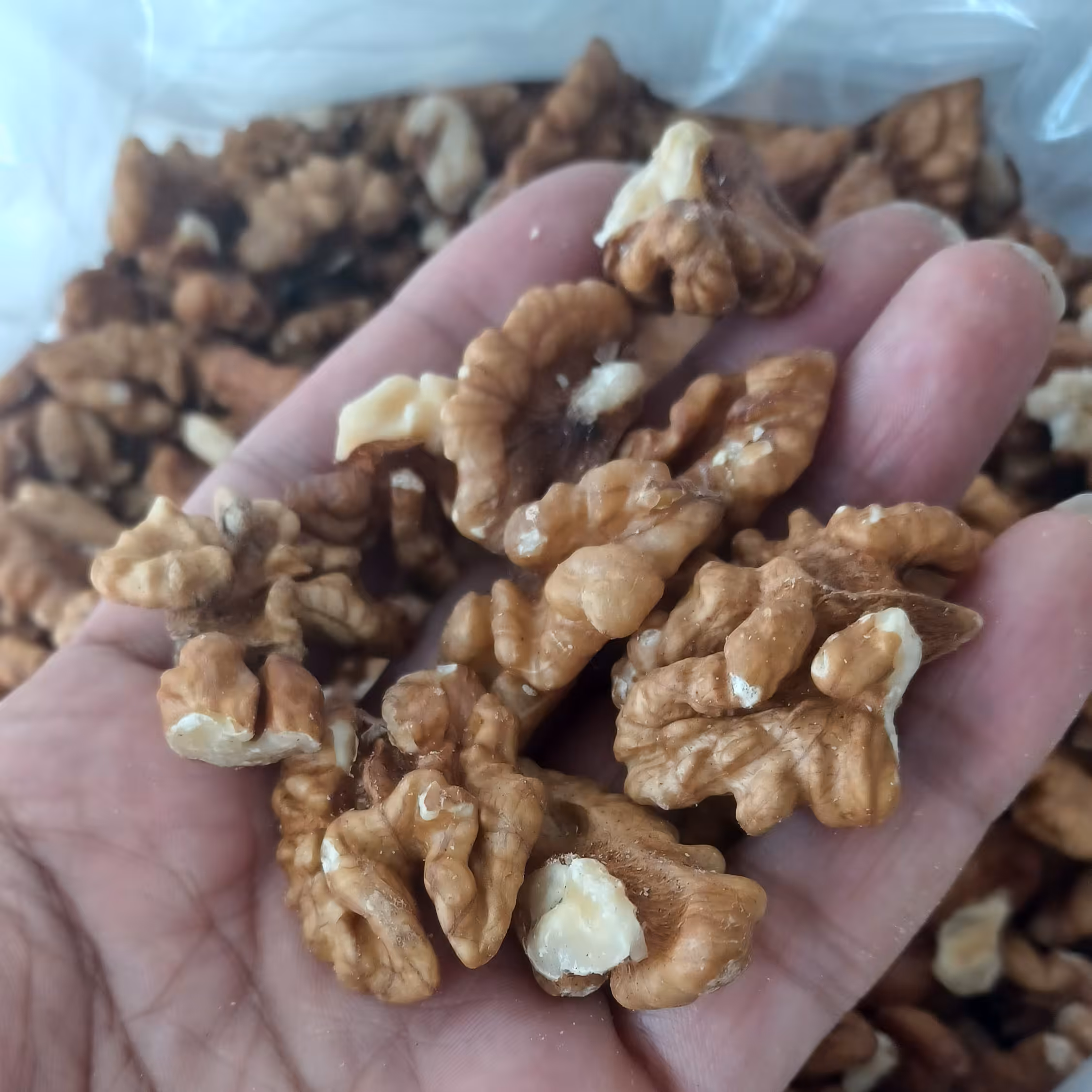 گردو خورشتی پر چرب ایرانی 1 کیلویی