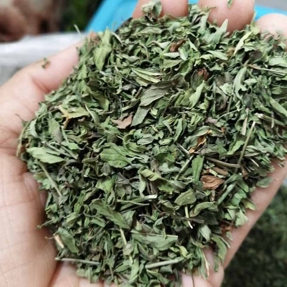 نعناع خشک(300 گرم)