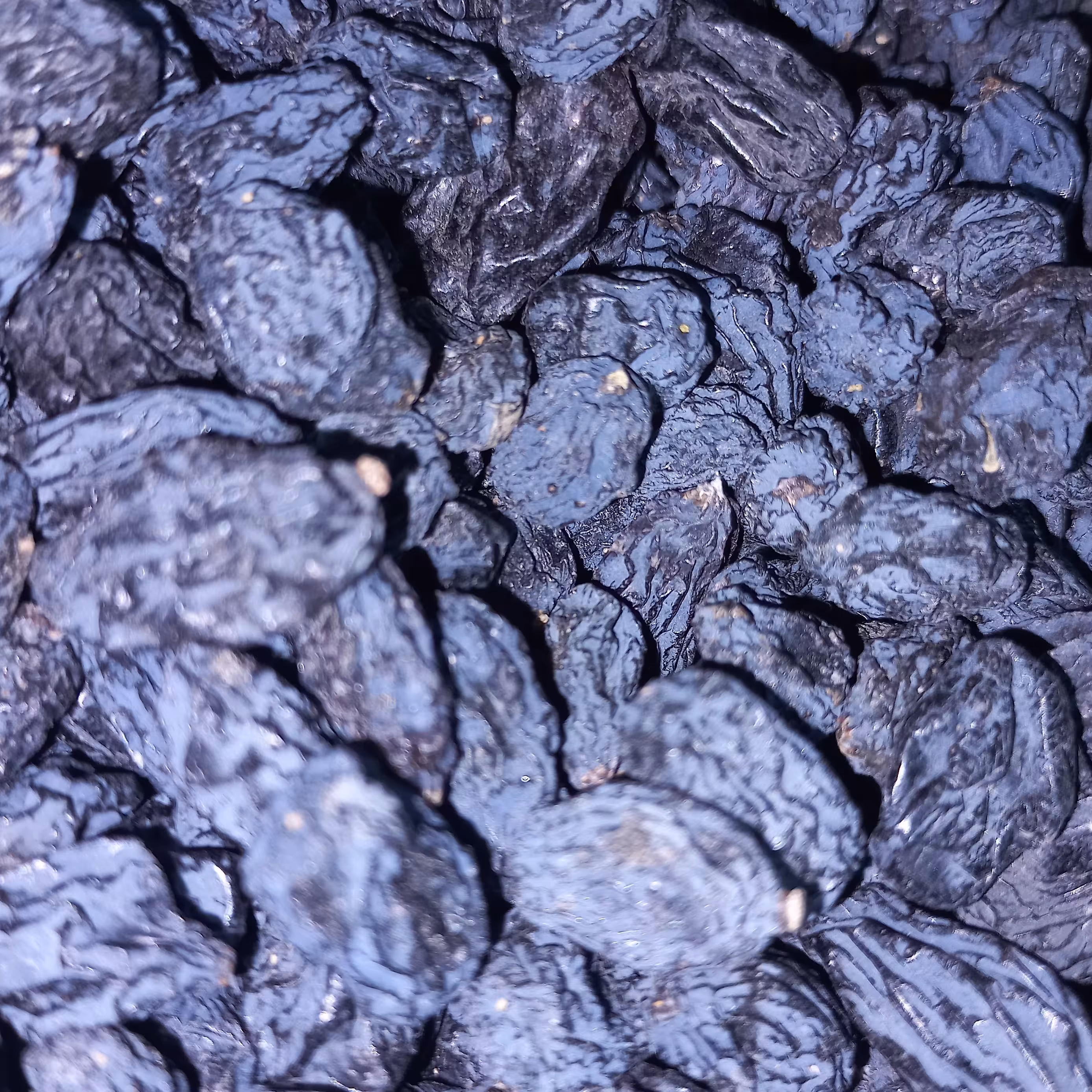 مویز ممتاز افغان وارداتی