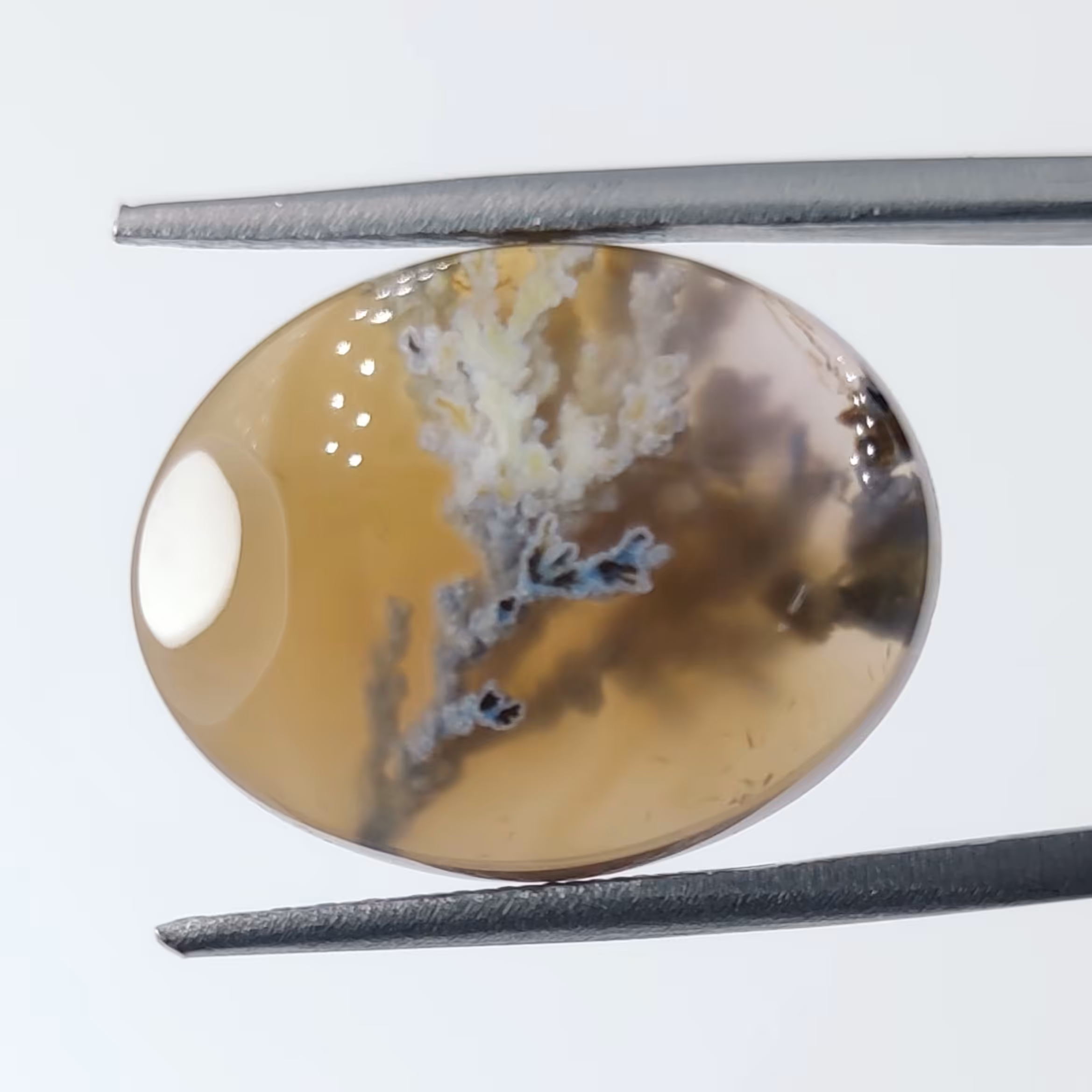 نگین سنگ عقیق شجر معدنی منظره درخت و سایه در آب   