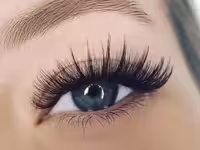 تخفیف لاین مژه سالن زیبایی پریسا فیروزی با برند لاولی در آفکادو