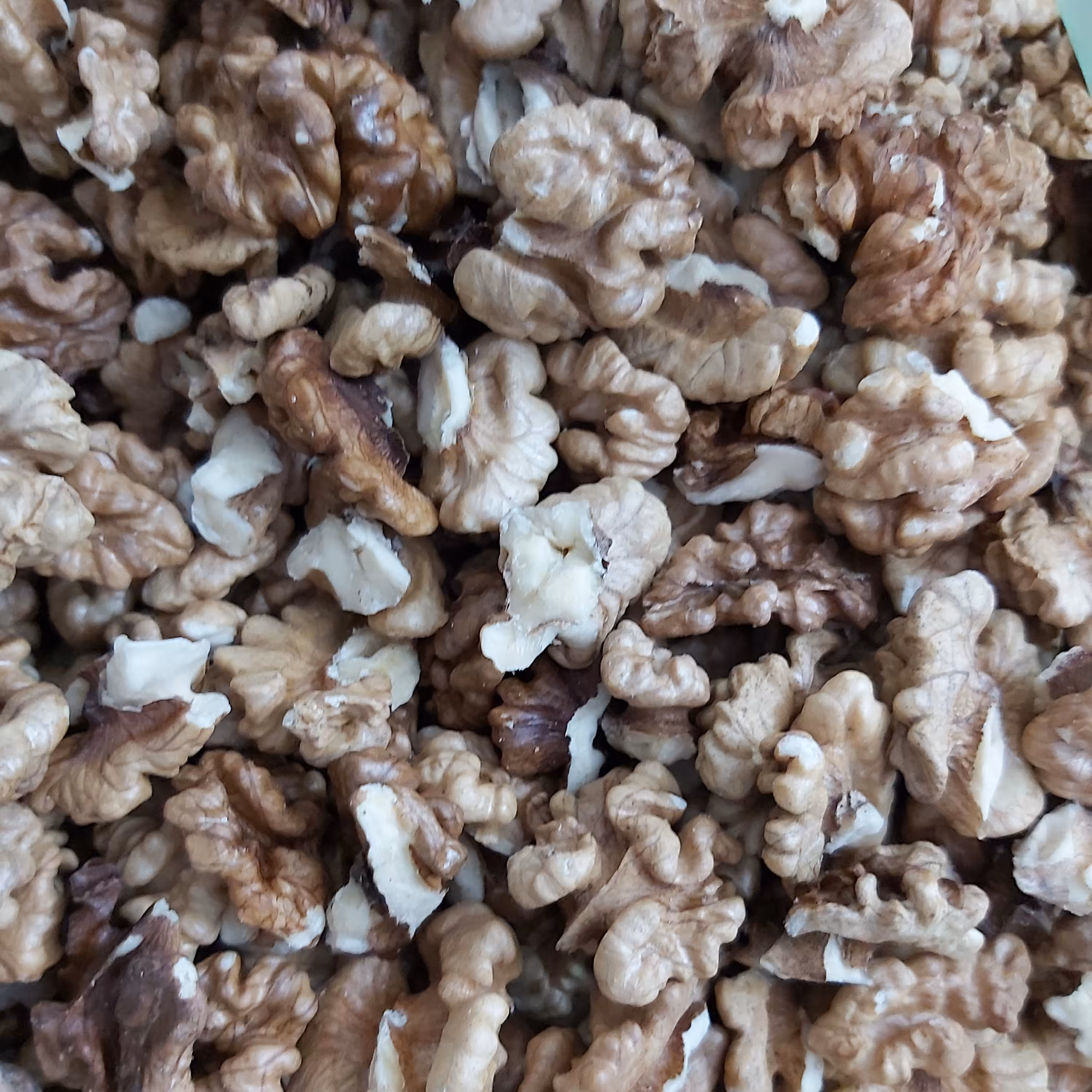 مغز گردو خورون و خورشتی تویسرکان نیم کیلو