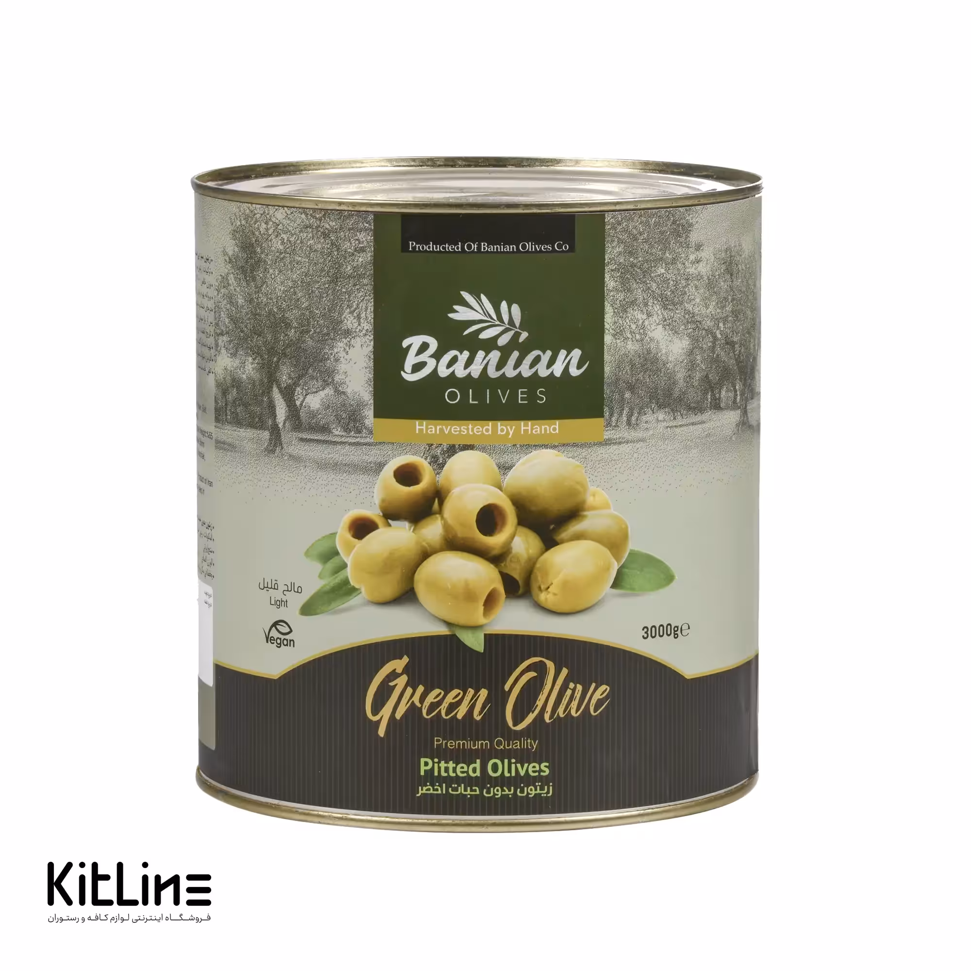 کنسرو زیتون سبز بی هسته سوپر بانیان 3 کیلوگرمی