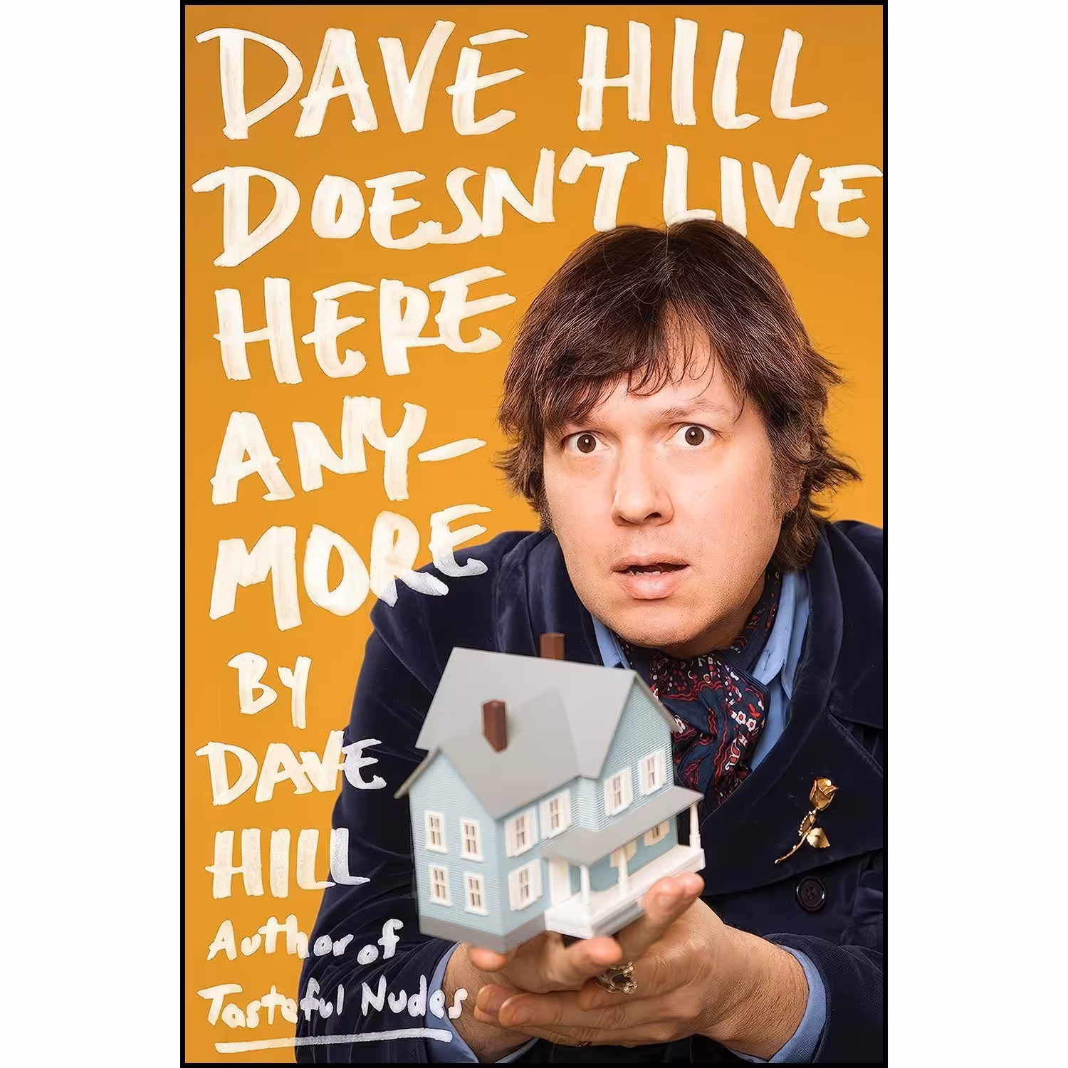 کتاب زبان اصلی Dave Hill Doesnt Live Here Anymore اثر Dave Hill