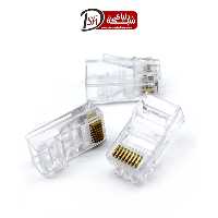 سوکت شبکه رپیتون CAT6-UTP بسته 100 عددی - دنیای شبکه برتر