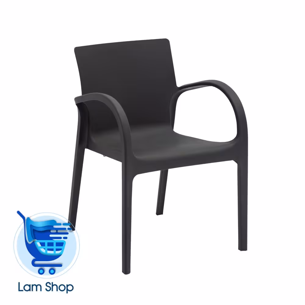 صندلی دسته دار دژاوو N807 نظری(زمان ارسال 15 تا 20 روز کاری)
