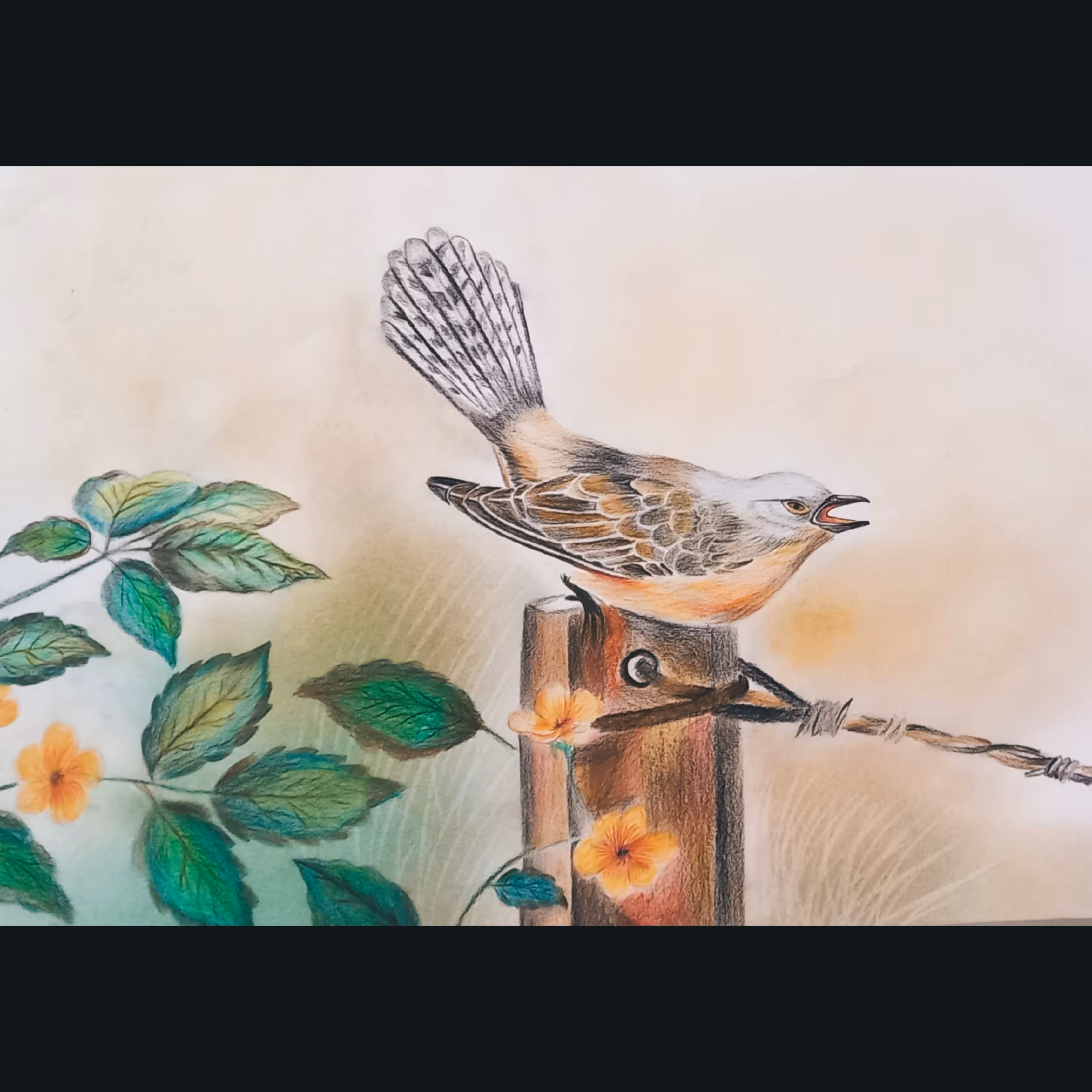 تابلو نقاشی مداد رنگی