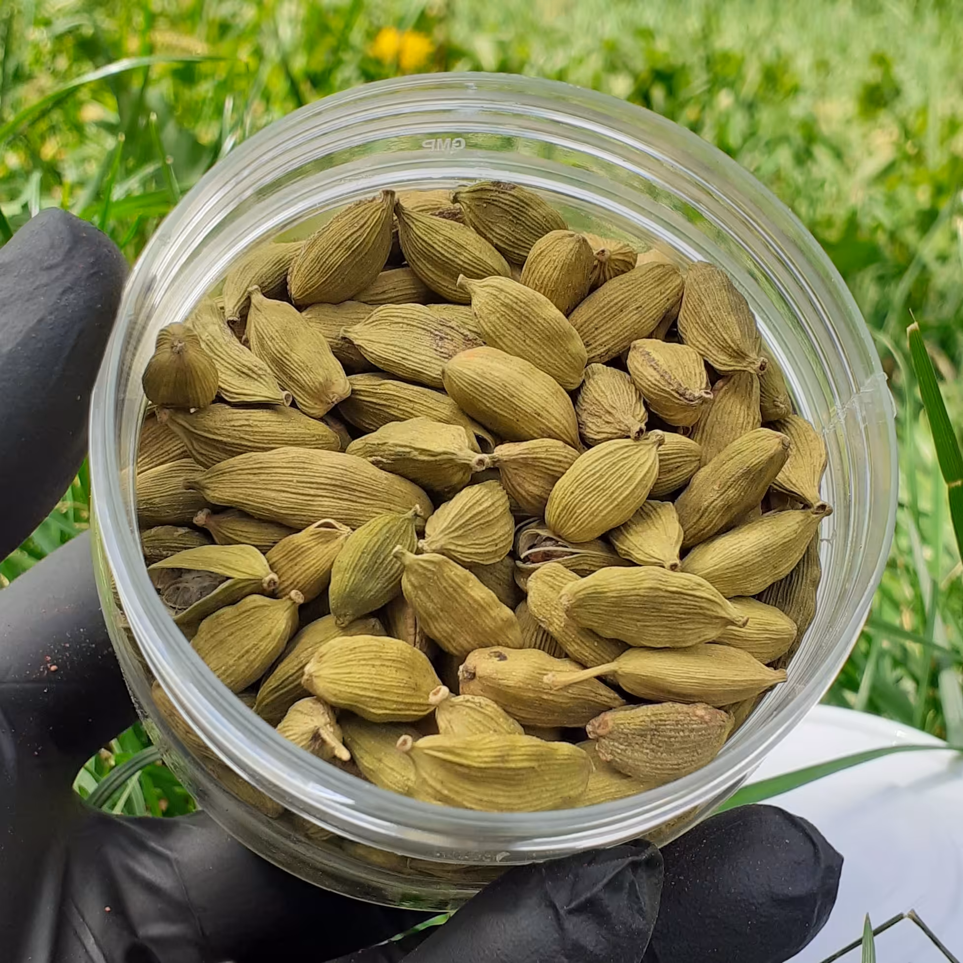 هل سبز درشت 100 گرمی