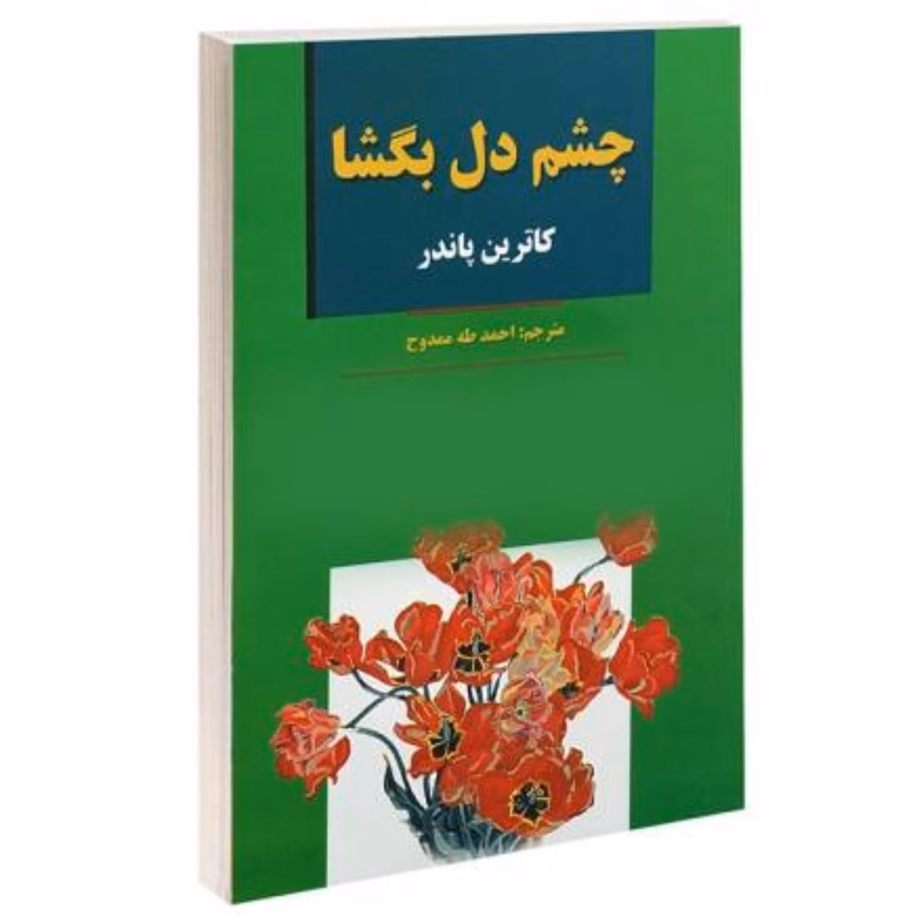 کتاب چشم دل بگشا اثر کاترین پاندر