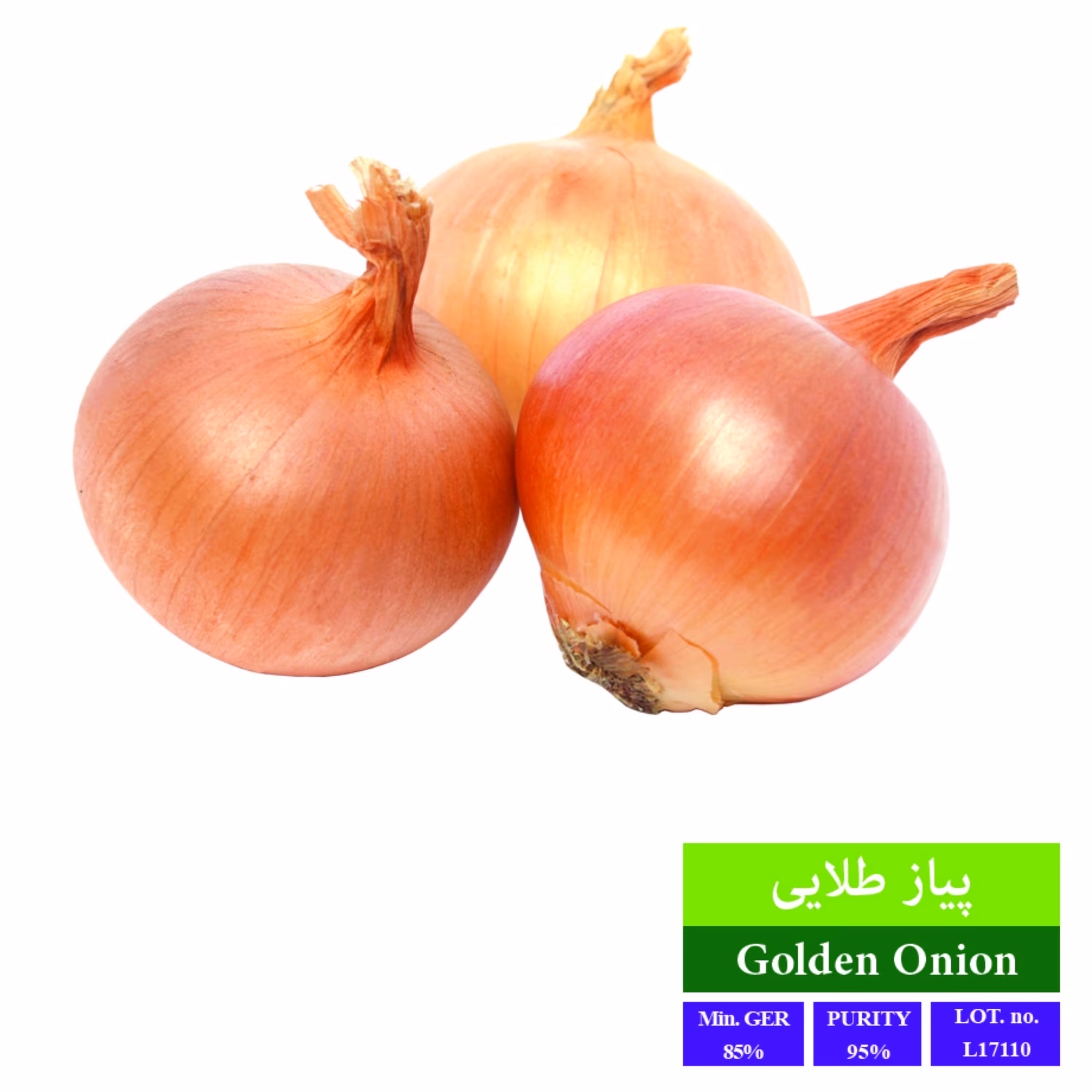 بذرپیاز طلایی بذر طلایی رویان 