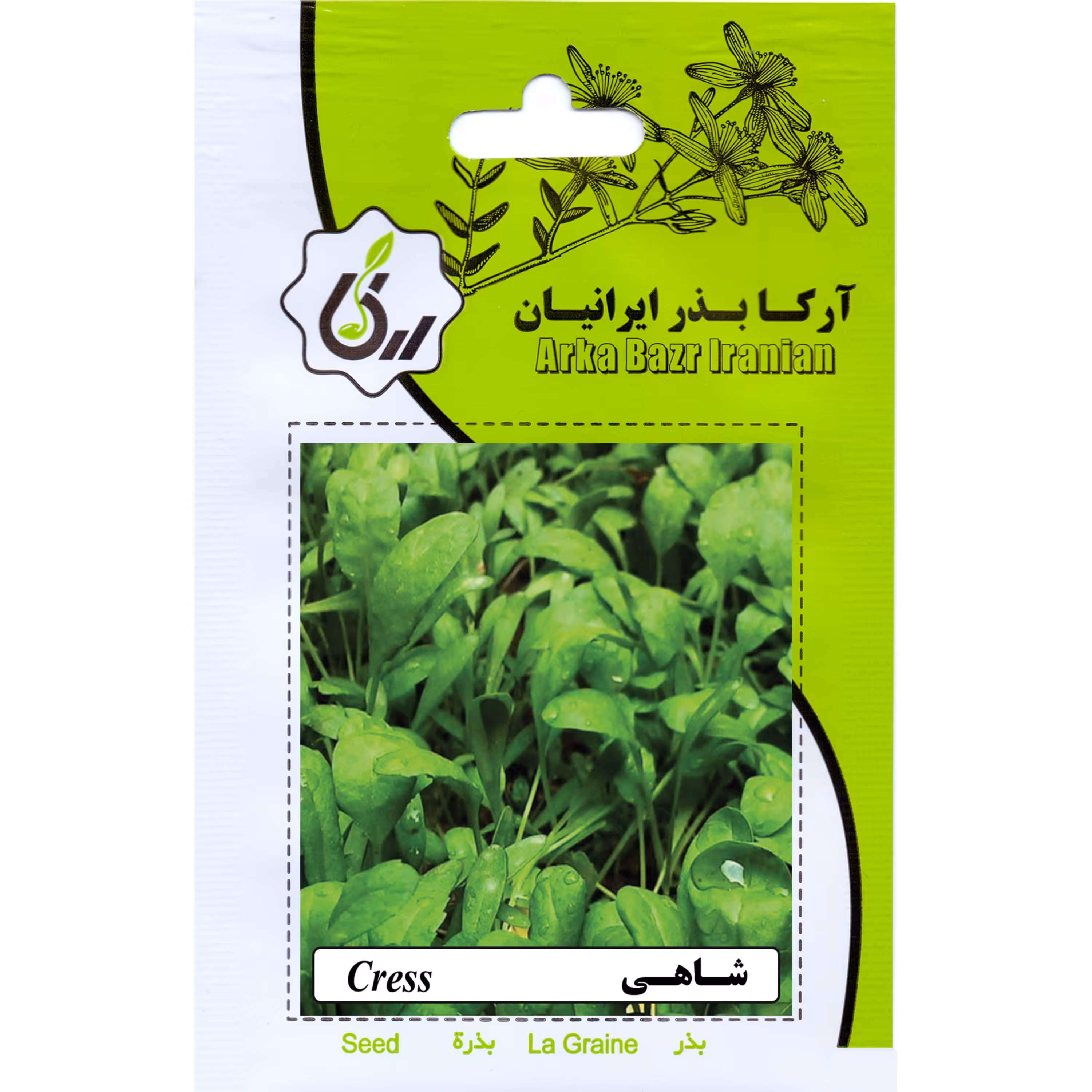 شاهی ارکا بذر ایرانیان