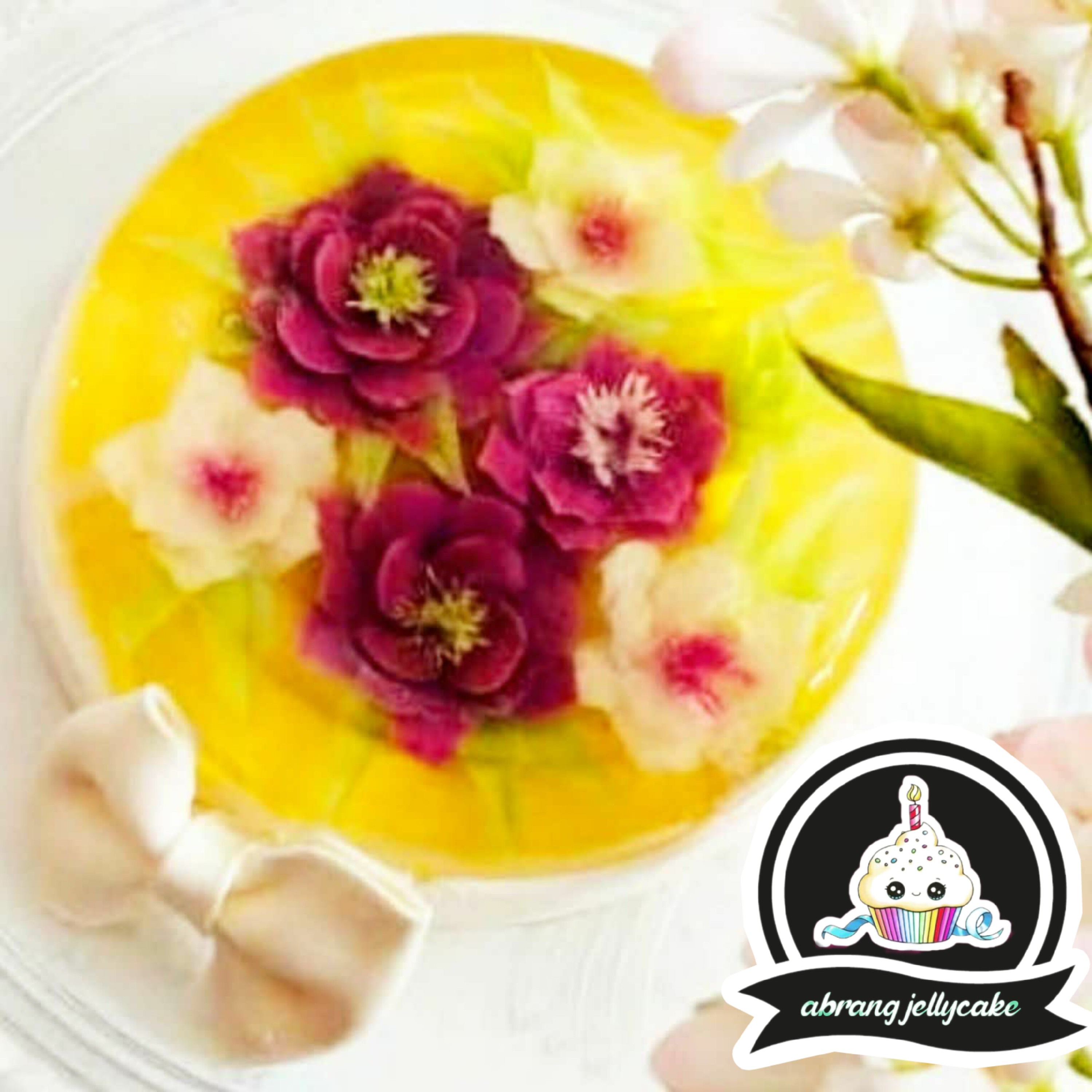 ژله تزریقی  