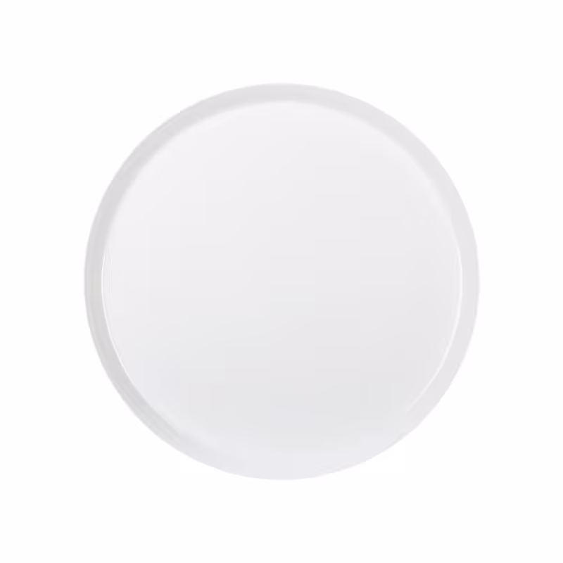 بشقاب تخت 24 سانتیمتری فرم اس درجه عالی