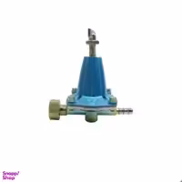 رگلاتور گاز فشار قوی آویژه صنعت مدل پرسی رنگ آبی