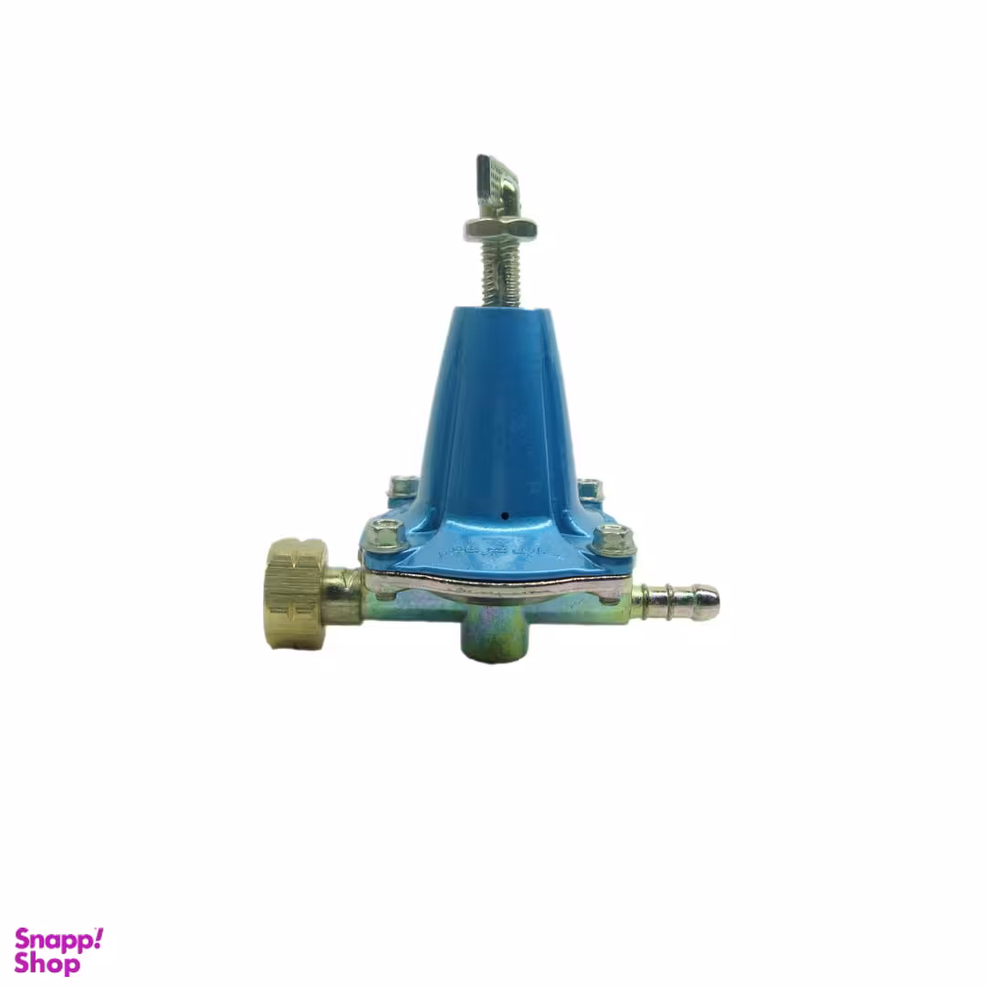 رگلاتور گاز فشار قوی آویژه صنعت مدل پرسی رنگ آبی