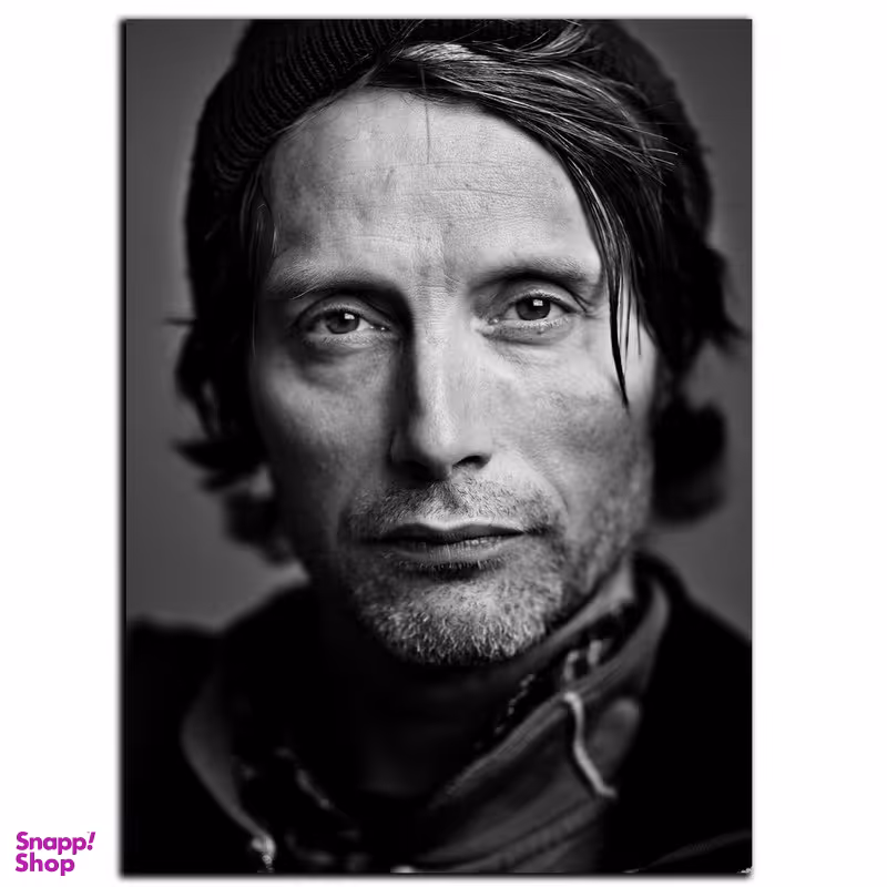 تابلو شاسی بکلیت طرح بازیگر مدس میکلسن مدل SH-S4249