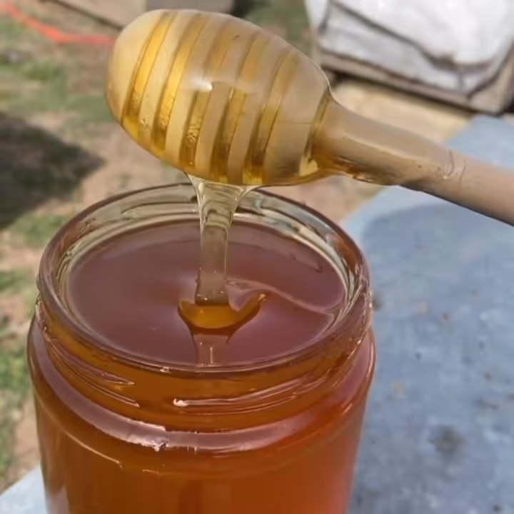 عسل بدون موم طبیعی
