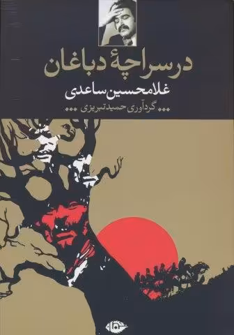 در سراچه دباغان