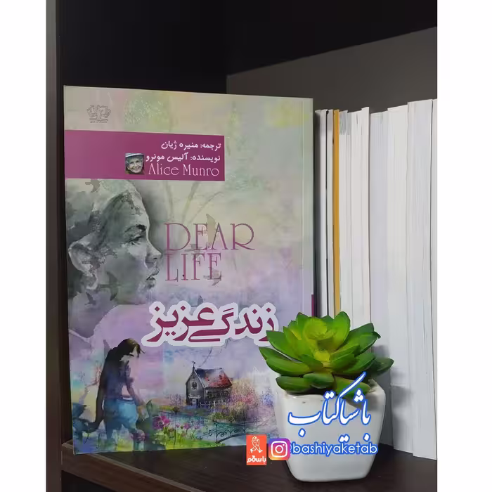 کتاب زندگی عزیز با تخفیف ویژه چاپ اصل و نو اثر آلیس مونرو ترجمه منیره ژیان نشر  آرزمیدخت