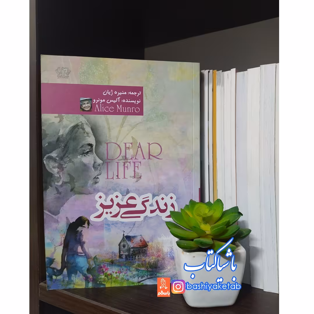 کتاب زندگی عزیز با تخفیف ویژه چاپ اصل و نو اثر آلیس مونرو ترجمه منیره ژیان نشر  آرزمیدخت