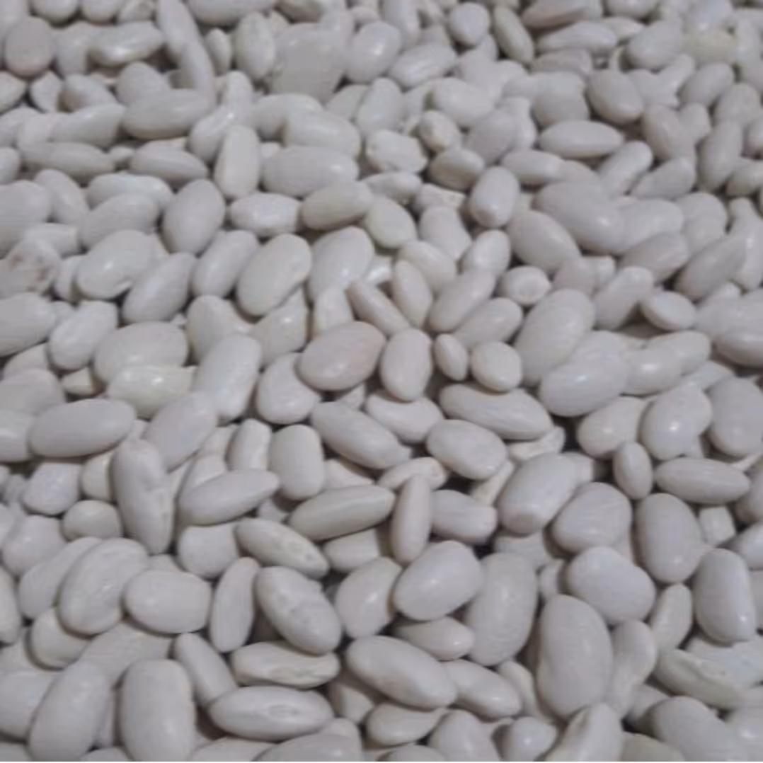 لوبیا سفید ایرانی 5کیلویی کیفیت عالی