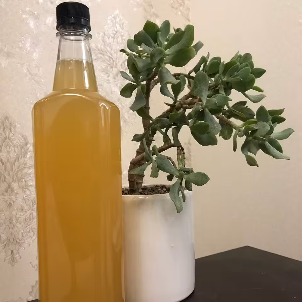 سرکه سیب خانگی باکیفیت و ارگانیک یک لیتری