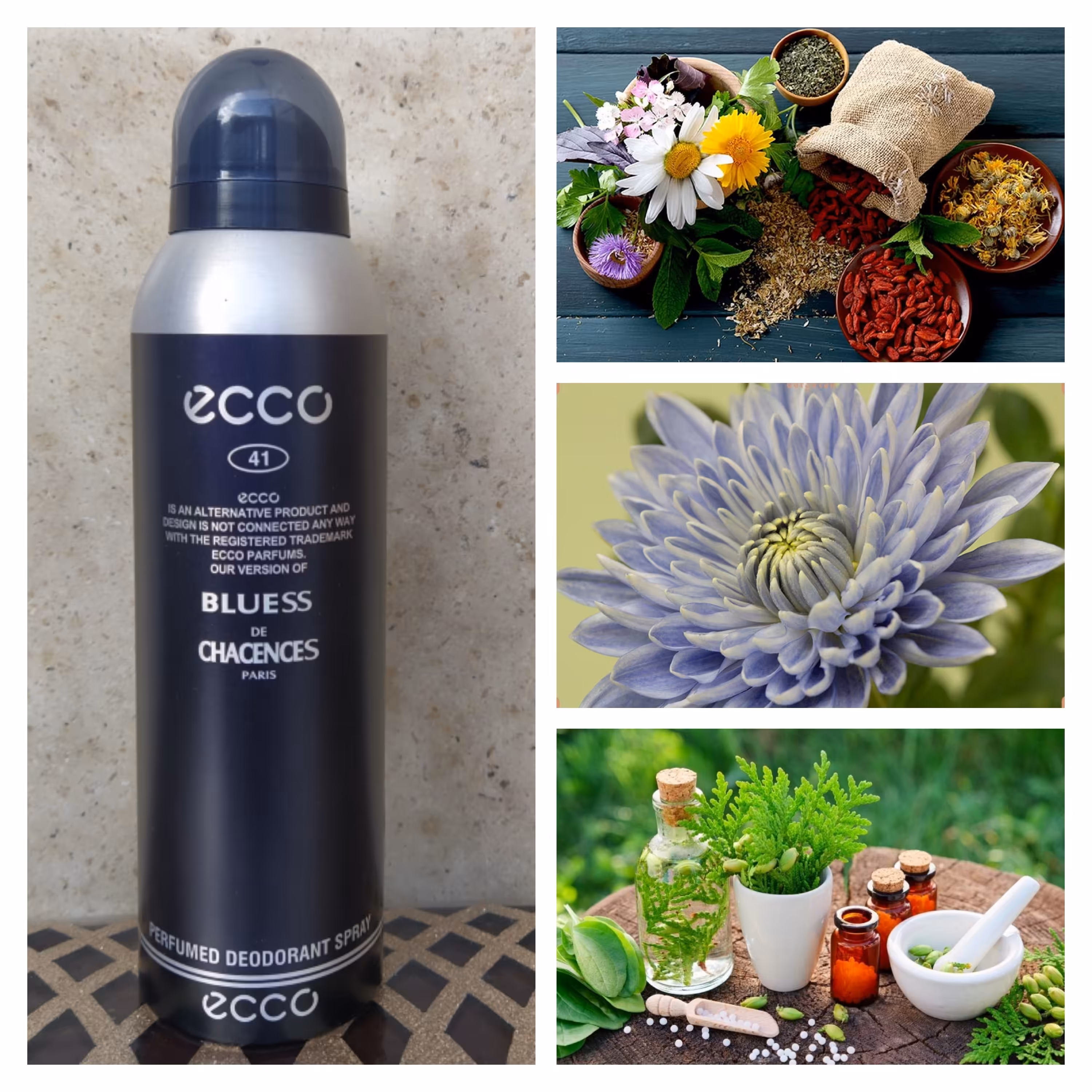 اسپری مردانه اکو ecco رایحه  bluess de chacences (ترکیه ) 200 میل