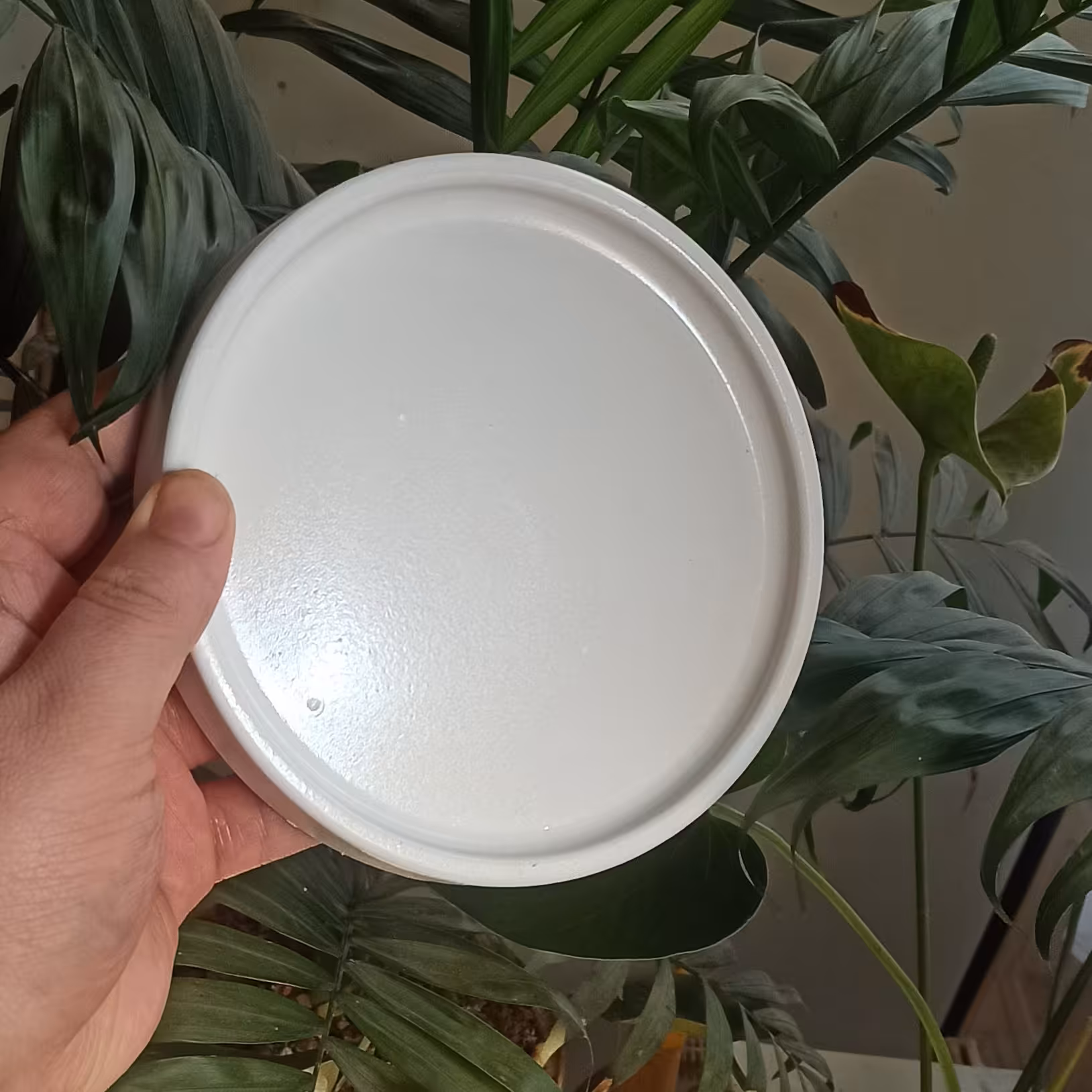 سینی سبزه یا ظرف هفت سین