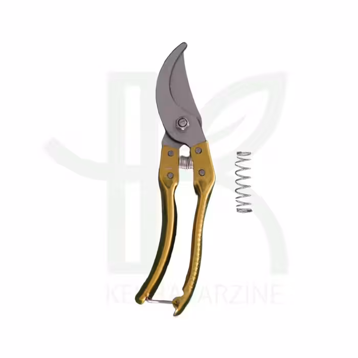 قیچی باغبانی برکن