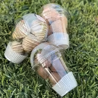 جار توت فرنگی شکلاتی.ارسال با اسنپ و پس کرایه