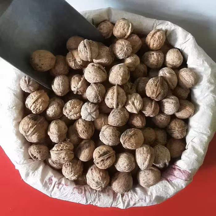 گردو کوهی فرد اعلا چغاخور یک کیلویی