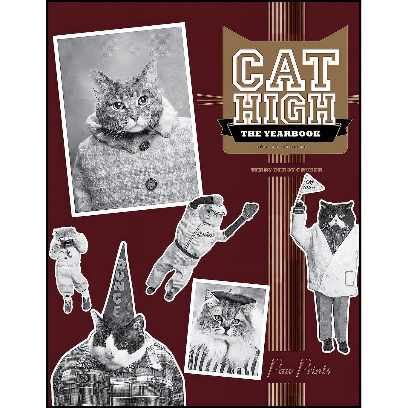 کتاب زبان اصلی Cat High اثر Terry deRoy Gruber