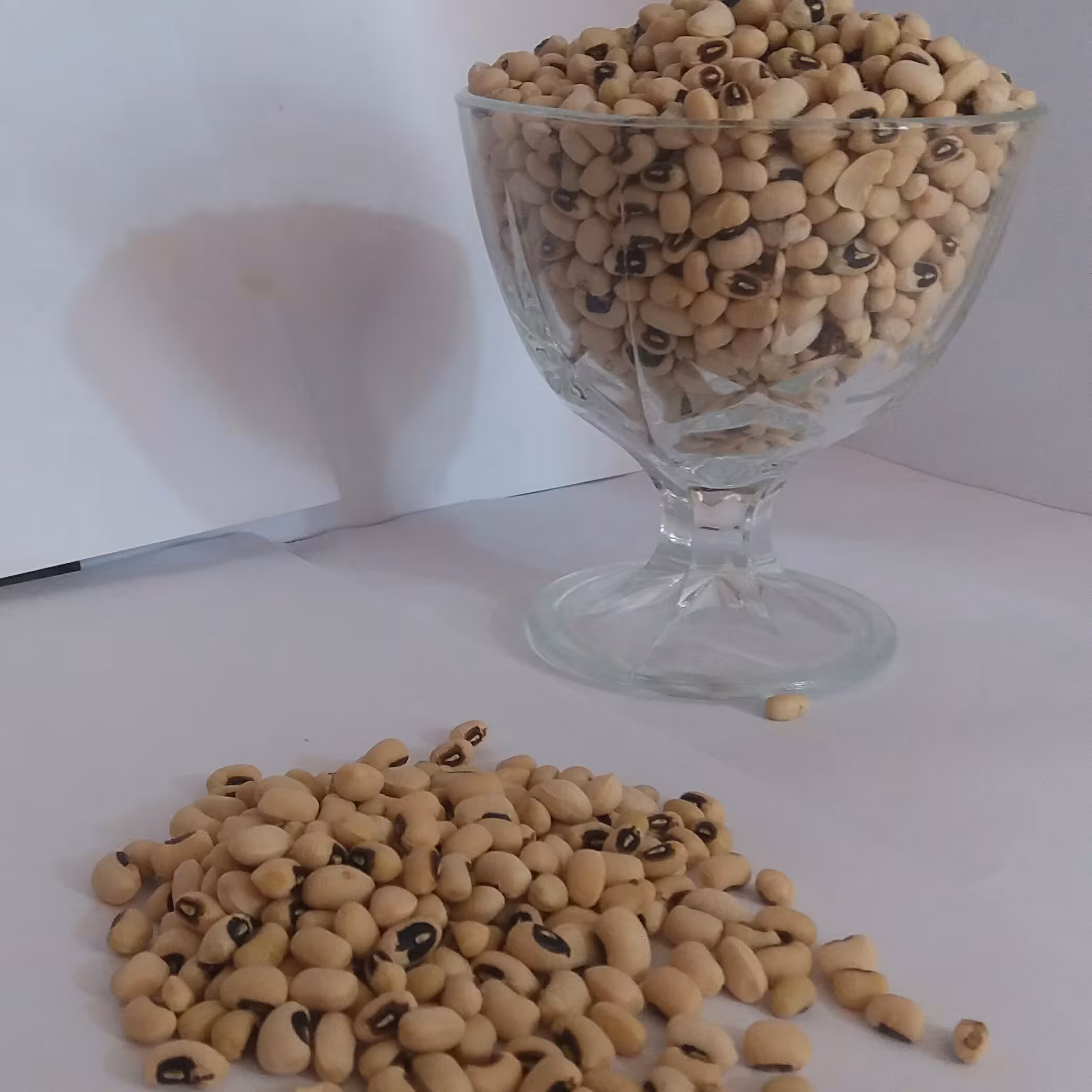 لوبیا چشم بلبلی (1 کیلوگرم)